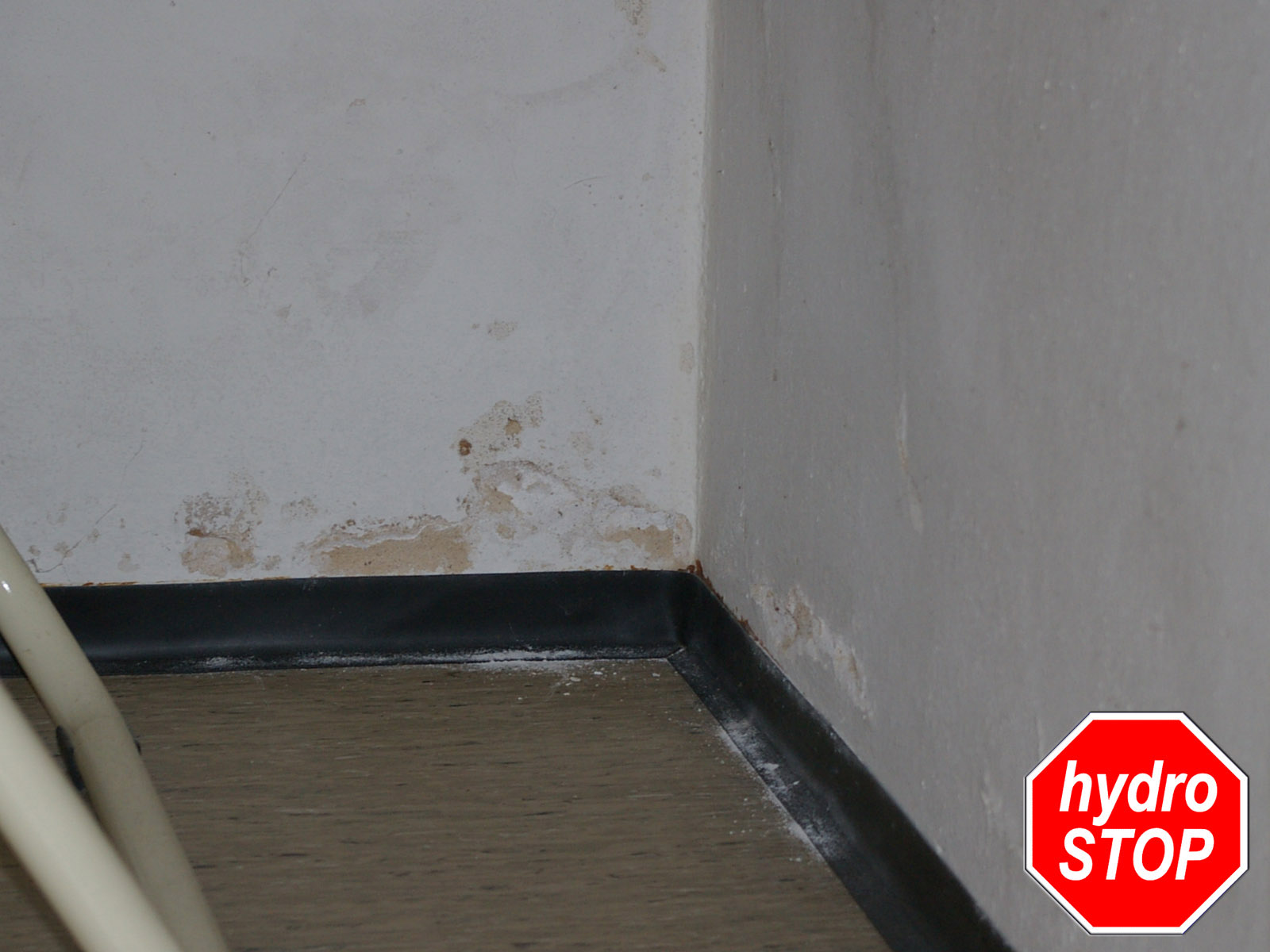 Salze im Keller in Hannover durch aufsteigende Feuchte